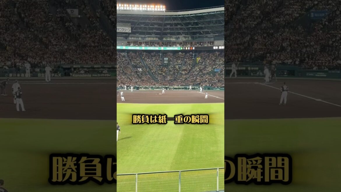 勝負は紙一重。日本シリーズ第３戦25/10/28 #阪神タイガース #阪神 #福岡ソフトバンクホークス #ソフトバンクホークス #日本シリーズ #坂本誠志郎 #今宮健太 #プロ野球 #甲子園