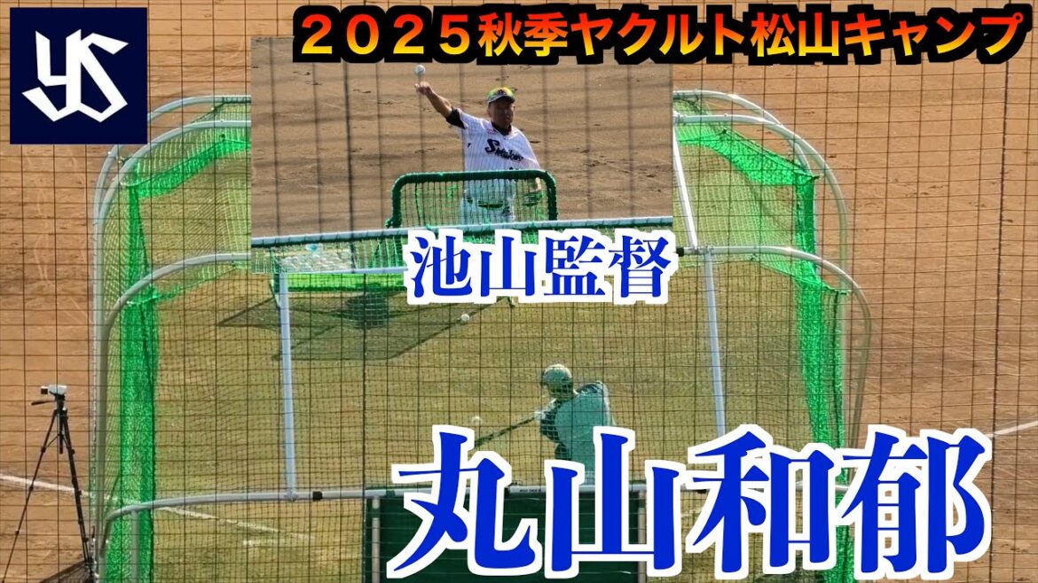 【池山監督がバッピ】丸山和郁（東京ヤクルトスワローズ）打撃練習！【２０２５秋季ヤクルト松山キャンプ】