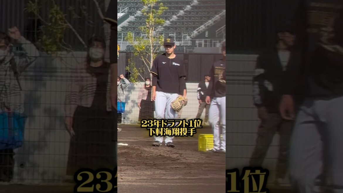 23年ドラ1下村投手25/11/8尼崎 #阪神 #阪神タイガース #hanshintigers #阪神ファン #プロ野球 #下村海翔 #青山学院大学 #九州国際大付 #尼崎 #及川雅貴 #ドラフト