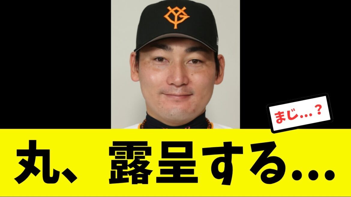 【判明】丸の明らかな弱点が判明してしまう...