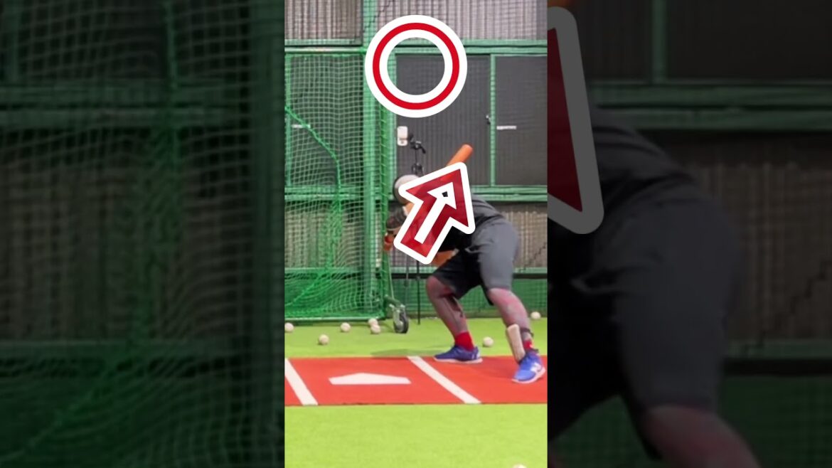 何が良くて何がダメか明確に違いがある  #shorts #baseball #野球 #バッティング #野球のミカタ #打撃探究部屋