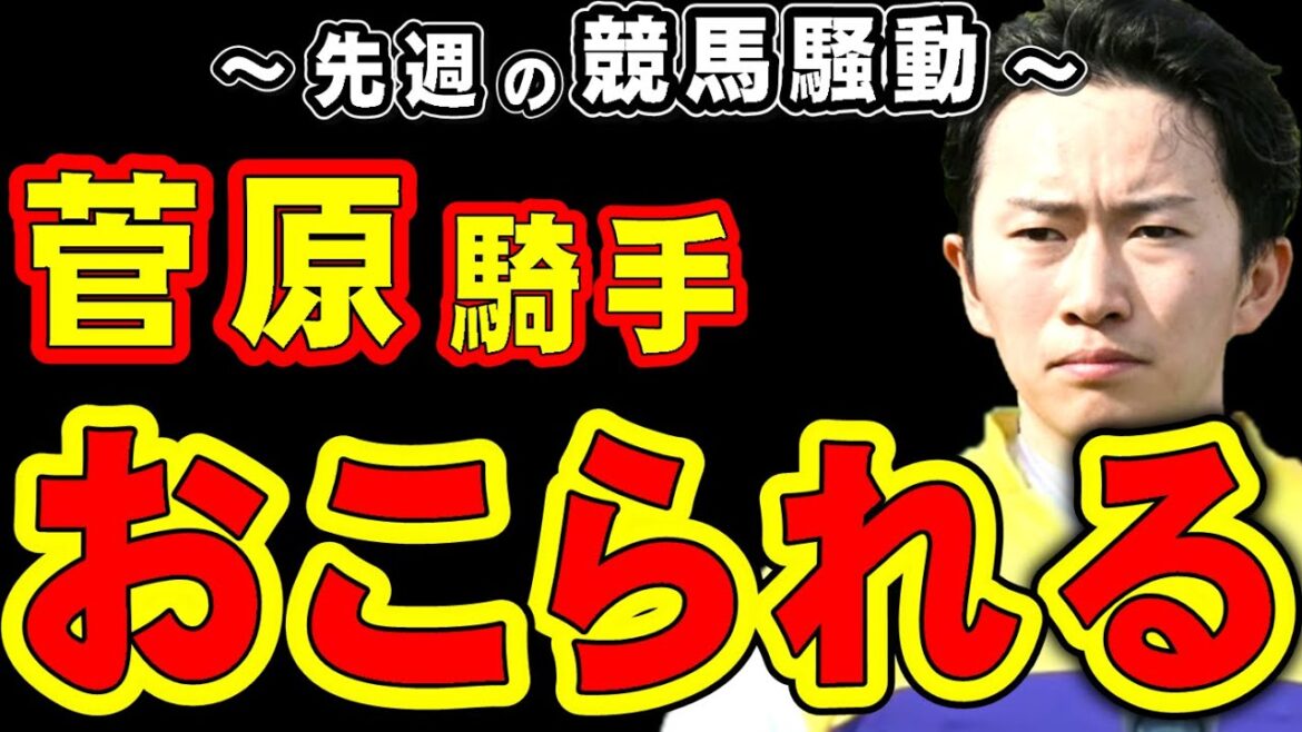 【天皇賞秋】菅原騎手、ブチギレられる…