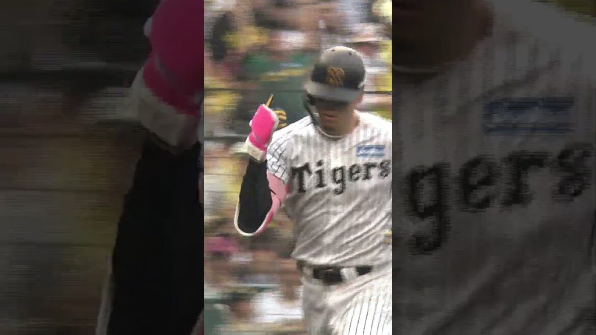 阪神タイガース THE OFFICIAL MOVIE2025ー栄光の虎道一 2025年11月14日(金)公開 #阪神タイガース#shorts #short #佐藤輝明 阪神タイガース THE OFFICIAL MOVIE2025ー栄光の虎道一 2025年11月14日(金)公開 #阪神タイガース#shorts #short #佐藤輝明