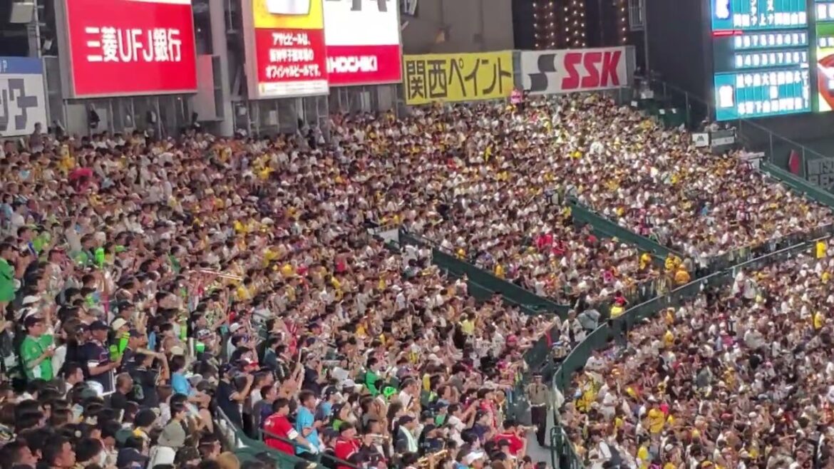 20240915　戦力外にて新たな道へ【西川遥輝 応援歌】　3回表　東京ﾔｸﾙﾄｽﾜﾛｰｽﾞ@阪神甲子園球場･ﾚﾌﾄ外野