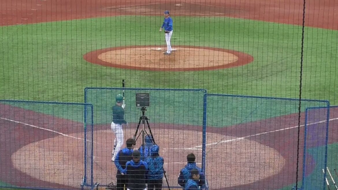 2025年11月横浜DeNAベイスターズ 秋季トレーニング・ ケースバッティング練習・ 林 家正 選手の第1打席