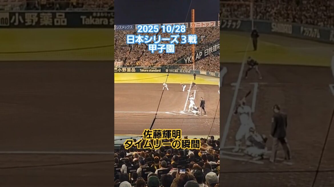 10/28日本シリーズ第3戦　佐藤輝明タイムリーの瞬間 #阪神タイガース #hanshintigers #阪神 #佐藤輝明#日本シリーズ #タイガース#ショート #shorts #プロ野球 #甲子園