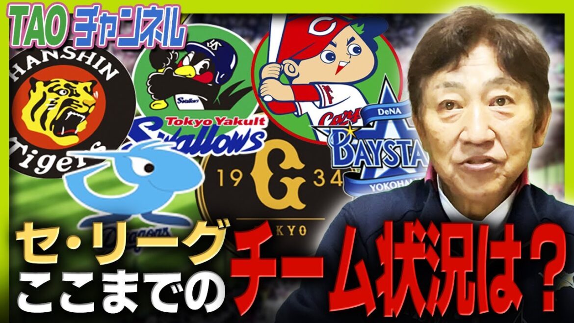 ドラフト補強を中心に考察!【11/9】 ドラフト補強を中心に考察!【11/9】