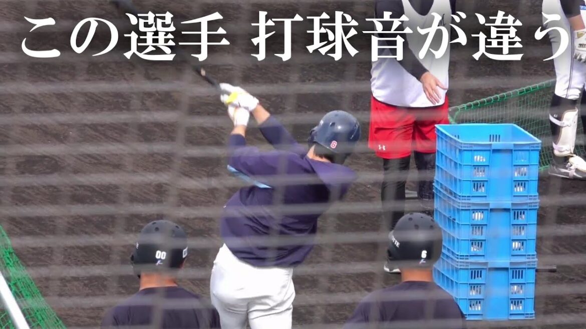 千葉ロッテマリーンズ秋季キャンプ打撃練習 #安田尚憲 #藤原恭大 #韓国