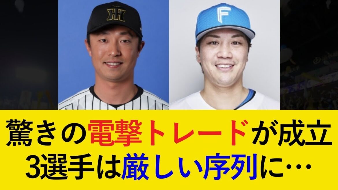 【放出は●●が原因か...】日本ハムと3年ぶりの電撃トレードが成立！一気にキャッチャーが激戦区に【阪神タイガース】
