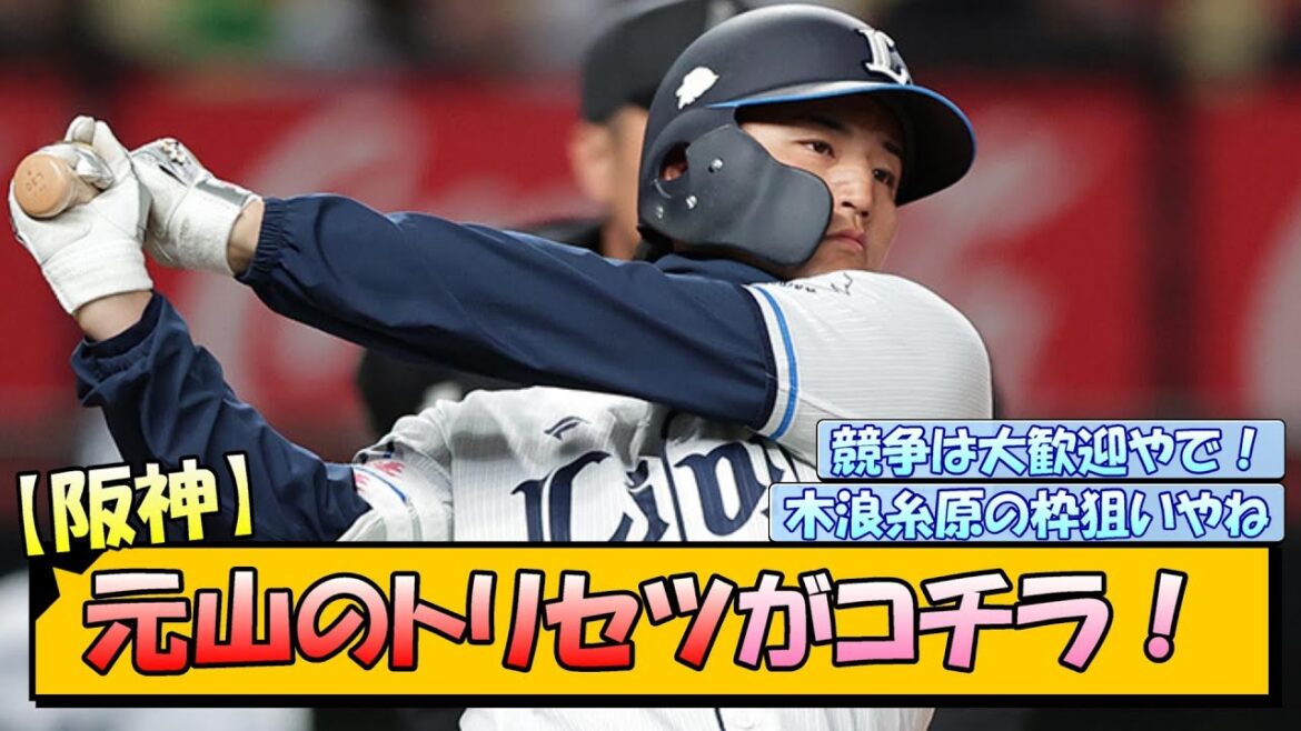【阪神】元山のトリセツがコチラ! 【阪神】元山のトリセツがコチラ!