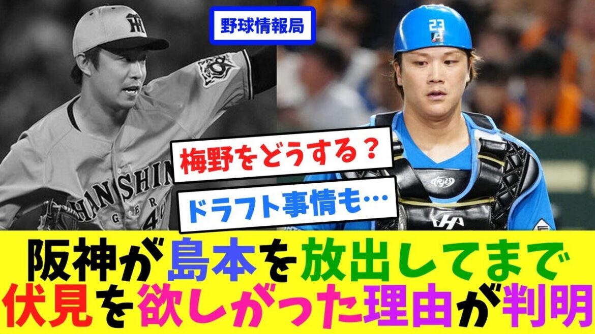 阪神が島本を放出してまで伏見を欲しがった理由が判明【ネット情報局】