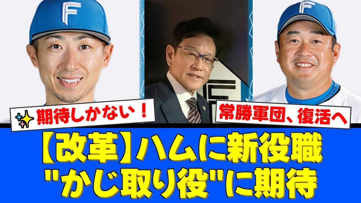 【ファイターズ】常勝軍団復活へ!球団が『コーディネーター』職を新設!金子千尋氏と佐藤友亮氏の就任にファンから期待の声が殺到!【プロ野球ファンの反応】 【ファイターズ】常勝軍団復活へ!球団が『コーディネーター』職を新設!金子千尋氏と佐藤友亮氏の就任にファンから期待の声が殺到!【プロ野球ファンの反応】