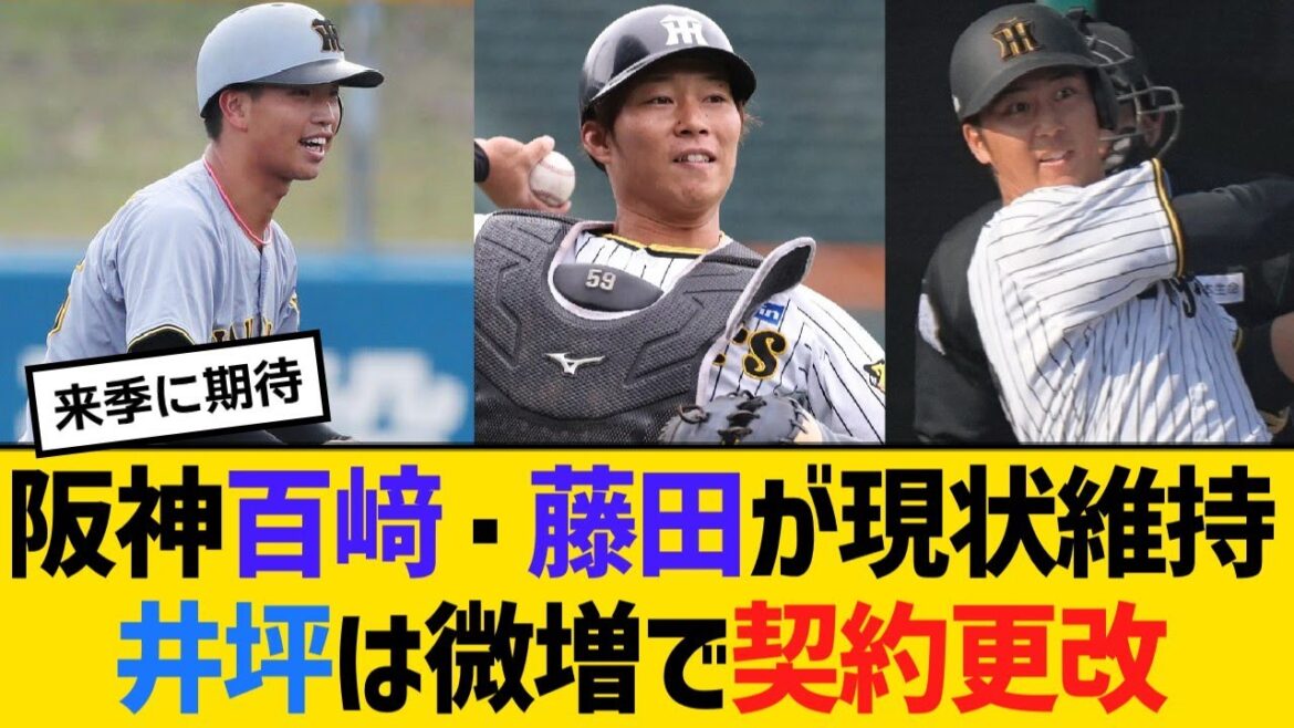 阪神百﨑・藤田が現状維持、井坪は微増で契約更改【野球】【反応】【考察】 阪神百﨑・藤田が現状維持、井坪は微増で契約更改【野球】【反応】【考察】