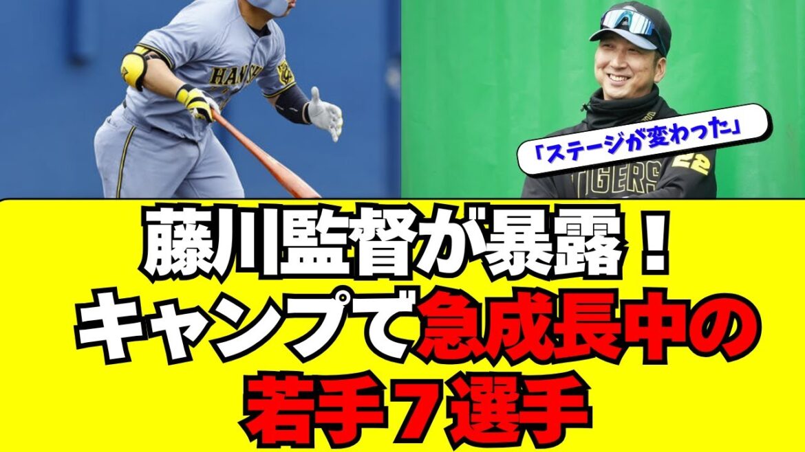 【阪神】藤川監督が暴露！秋のキャンプで急成長中の若手７人