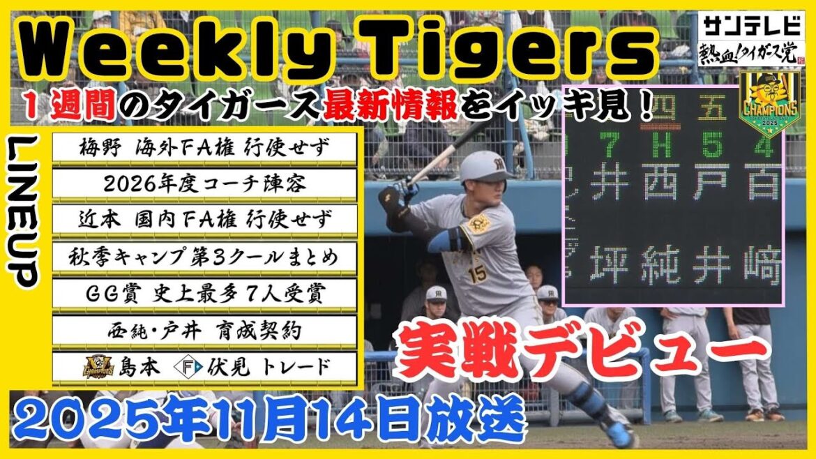 【11/8~14のタイガース情報🐯】村上投手と一週間振り返り!「近本さんから『来年対戦楽しみやな』と言われていた…」 #熱血タイガース党 【11/8~14のタイガース情報🐯】村上投手と一週間振り返り!「近本さんから『来年対戦楽しみやな』と言われていた…」 #熱血タイガース党