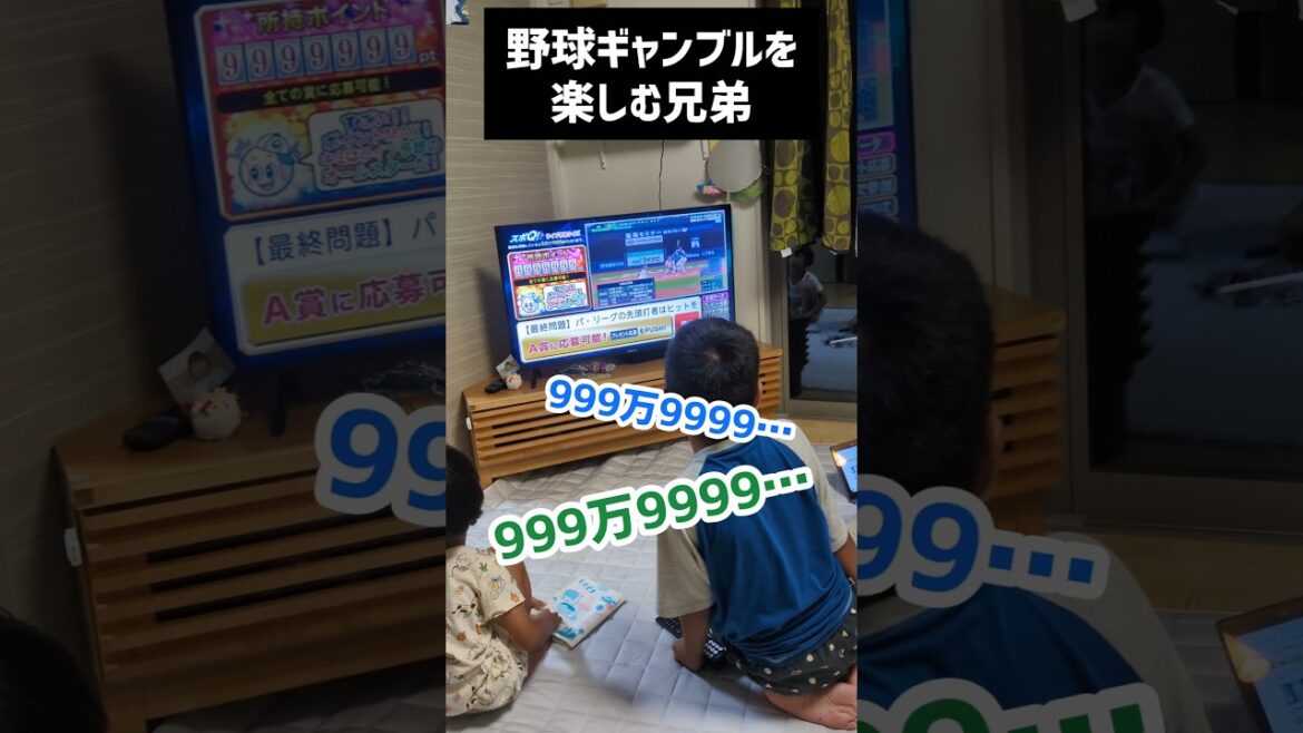 野球ギャンブルを楽しむ三兄弟