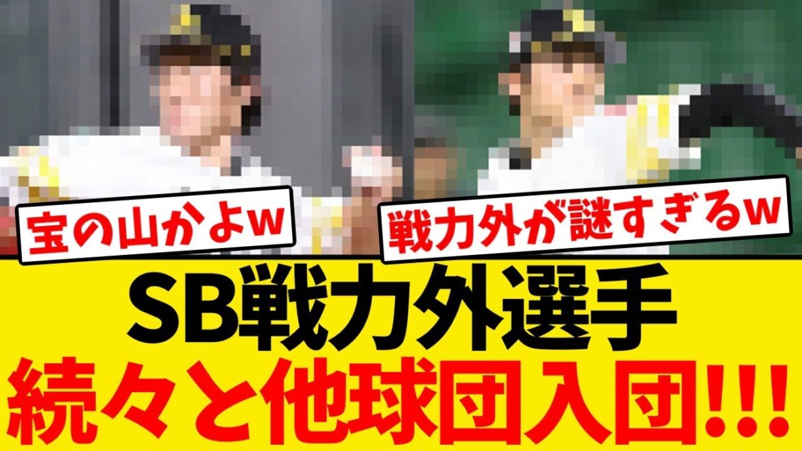 【宝の山】SB戦力外選手、続々と他球団入団が決定する!!!