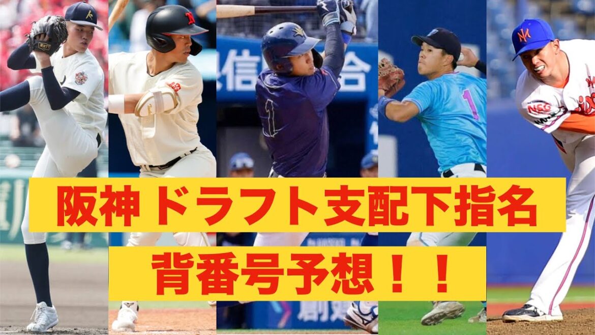 【ドラフト】阪神タイガース ドラフト支配下指名選手の背番号予想!!大注目のドラフト1位 立石正広の背番号は!? 【ドラフト】阪神タイガース ドラフト支配下指名選手の背番号予想!!大注目のドラフト1位 立石正広の背番号は!?