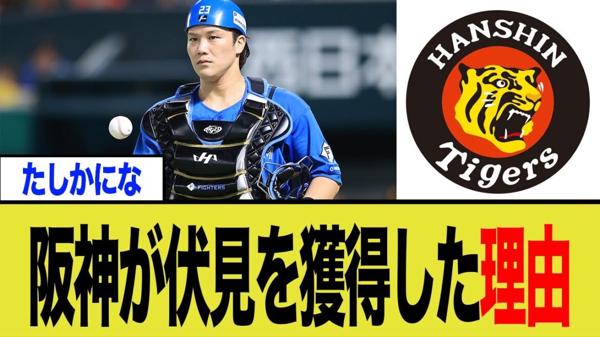 阪神・島本と日本ハム・伏見の電撃トレードの真意とは？