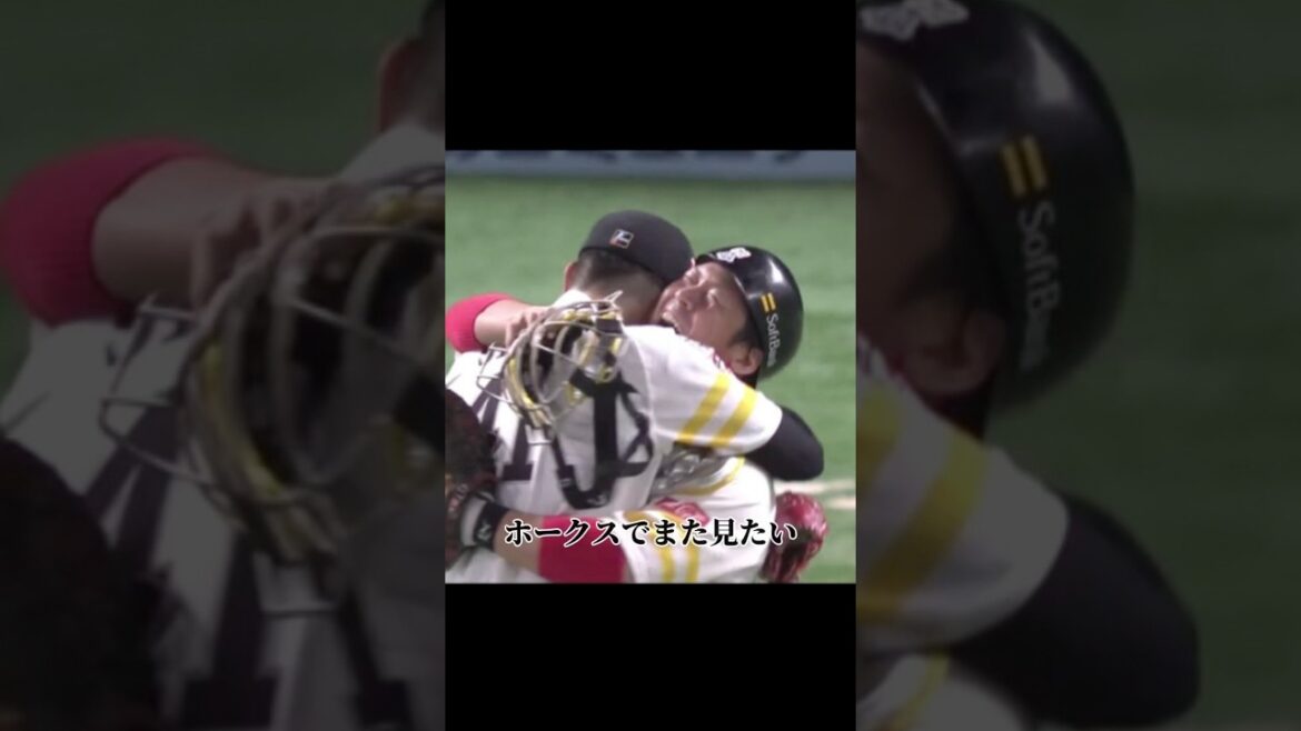 失って気付いた、甲斐の凄さ。 失って気付いた、甲斐の凄さ。