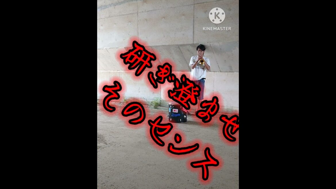 広島・田中広輔の応援歌吹いてみた #shorts #広島東洋カープ #広島カープ #広島 #田中広輔 #応援歌 #トランペット