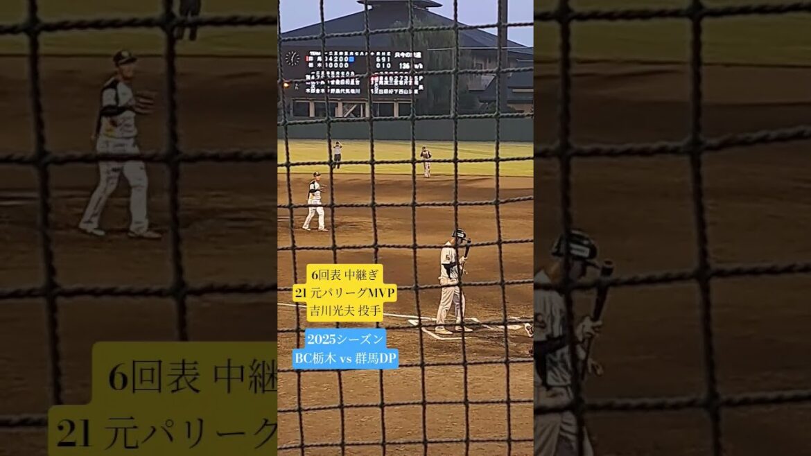 #野球 #独立リーグ #吉川光夫 #栃木ゴールデンブレーブス #パリーグ #mvp #2025 #bcリーグ #bc栃木