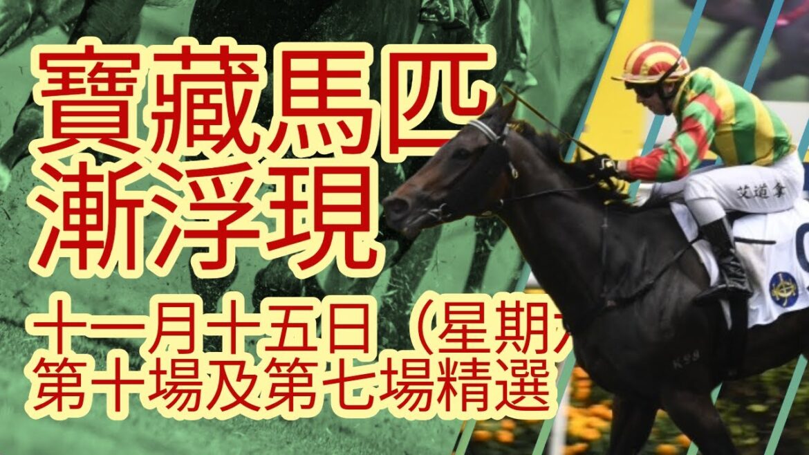 【馬迷誌】四歲系列賽將至 寶藏馬匹漸浮現｜11月15日 星期六 沙田日賽｜第十場及第七場｜【Horse Diary 】｜15th Nov Race 10 and Race 7