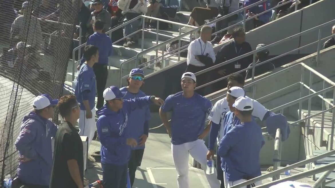 【中日ドラゴンズ 秋季キャンプ 2025】 石橋康太選手・近藤廉投手 ・土生翔太投手・山浅龍之介選手・日渡騰輝選手の階段トレーニングの様子 2025/11/15 ナゴヤ球場