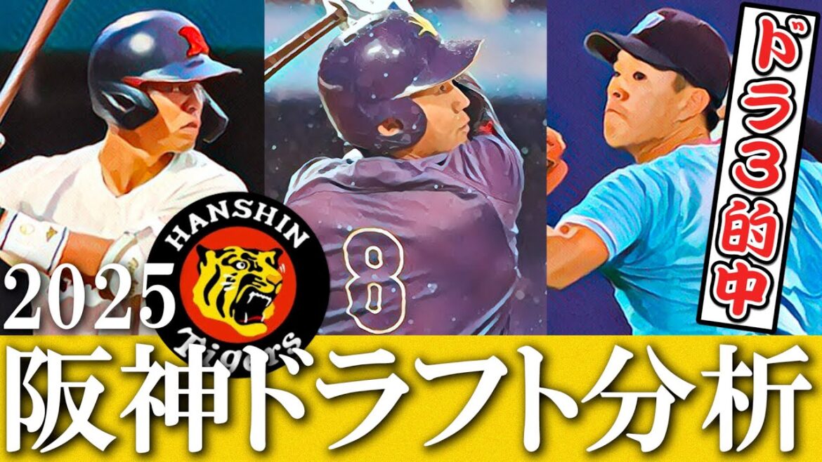 ドラフト戦略に大きな変化！？最新の阪神は〇〇の評価が爆上がり中…！！【ドラフト分析2025】
