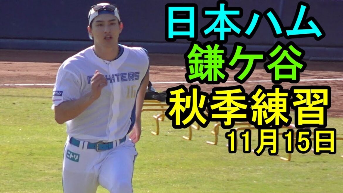 日本ハム鎌ケ谷秋季練習（若手主体）達孝太熱投、山縣秀復活2025.11.15