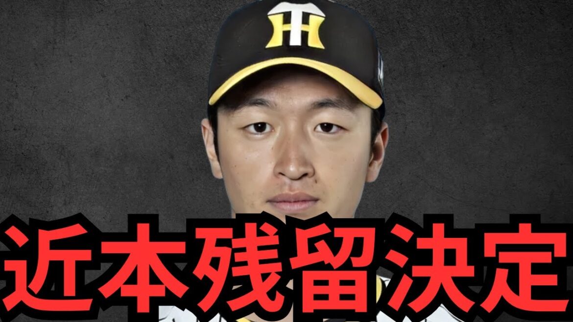 ギリギリの発表でFA宣言するんかと思ったわ!近本は阪神が1番やて!!正直阪神より環境が良い所はないと思うわ!てことは来季の阪神も強いという事やな… 巨人も補強に頼らんと若手選手育ててみいや!!!!!! ギリギリの発表でFA宣言するんかと思ったわ!近本は阪神が1番やて!!正直阪神より環境が良い所はないと思うわ!てことは来季の阪神も強いという事やな… 巨人も補強に頼らんと若手選手育ててみいや!!!!!!