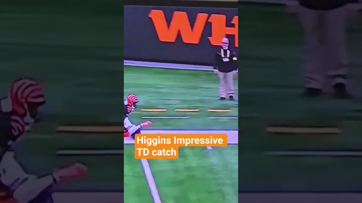 Higgins Impressive catch!!