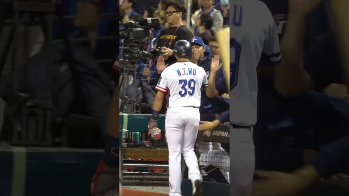 【WBC 資格賽】 可愛長頸鹿🦒 來個大抱抱