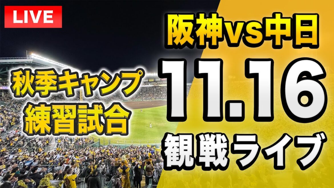【阪神 練習試合ライブ🔴】11/16 阪神タイガース 対 中日ドラゴンズの練習試合を一緒に観戦するライブ。【プロ野球】 【阪神 練習試合ライブ🔴】11/16 阪神タイガース 対 中日ドラゴンズの練習試合を一緒に観戦するライブ。【プロ野球】
