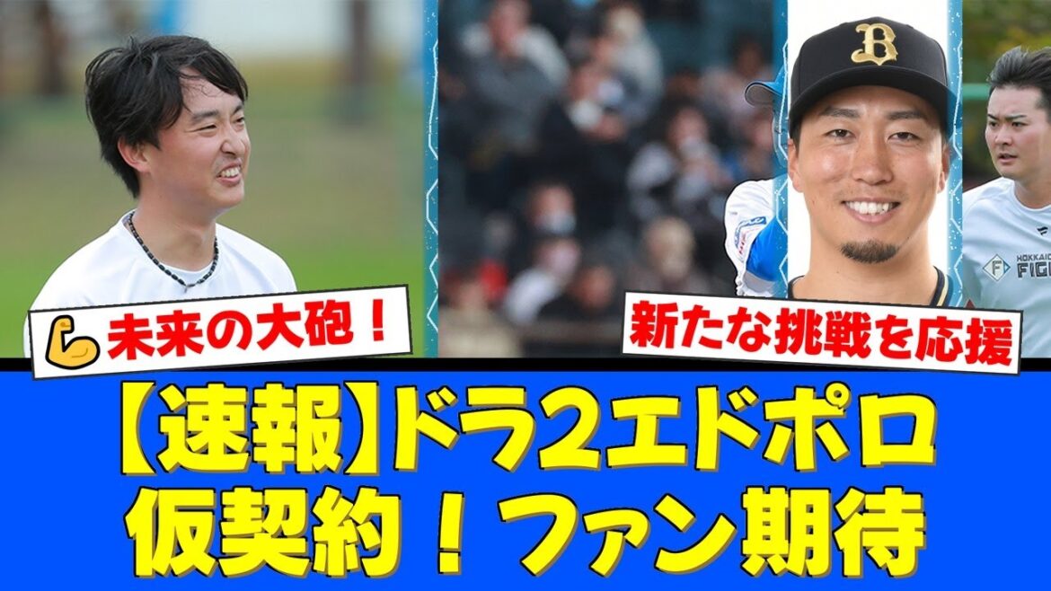 【期待】ドラ2・エドポロ・ケインが遂に仮契約!未来の主砲候補にファン大興奮!一方で石川直也、福田俊ら功労者たちがトライアウトへ…感謝と激励の声が鳴り止まない!【プロ野球ファンの反応】 【期待】ドラ2・エドポロ・ケインが遂に仮契約!未来の主砲候補にファン大興奮!一方で石川直也、福田俊ら功労者たちがトライアウトへ…感謝と激励の声が鳴り止まない!【プロ野球ファンの反応】
