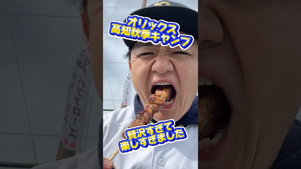 オリックス•バファローズ高知秋季キャンプに行って来た！ #shorts