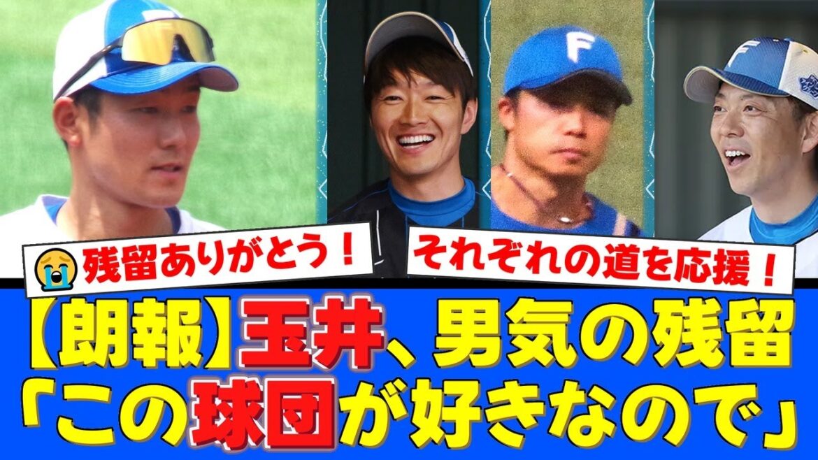 【FA速報】石井一成がFA権行使を表明!一方、玉井大翔、中島卓也、宮西尚生は愛ある残留宣言!ファンからは感謝と応援の声が殺到【プロ野球ファンの反応】 【FA速報】石井一成がFA権行使を表明!一方、玉井大翔、中島卓也、宮西尚生は愛ある残留宣言!ファンからは感謝と応援の声が殺到【プロ野球ファンの反応】