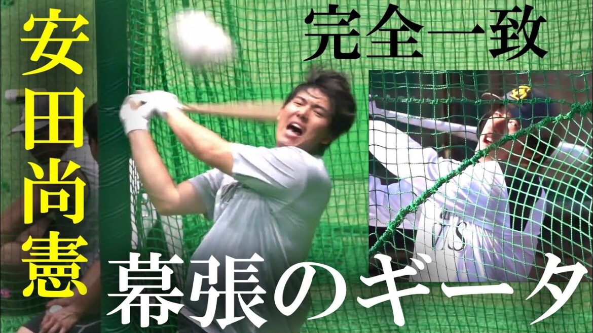 千葉ロッテマリーンズ秋季キャンプ 居残り打撃練習（2025-1102） #松川 虎生 #植田将太 #安田尚憲 #山口航輝