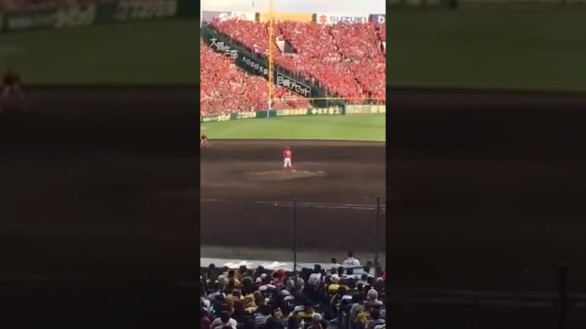 この頃の広島のお客さんがまた帰ってきますように。 #広島東洋カープ #阪神タイガース #ガラガラ #shorts