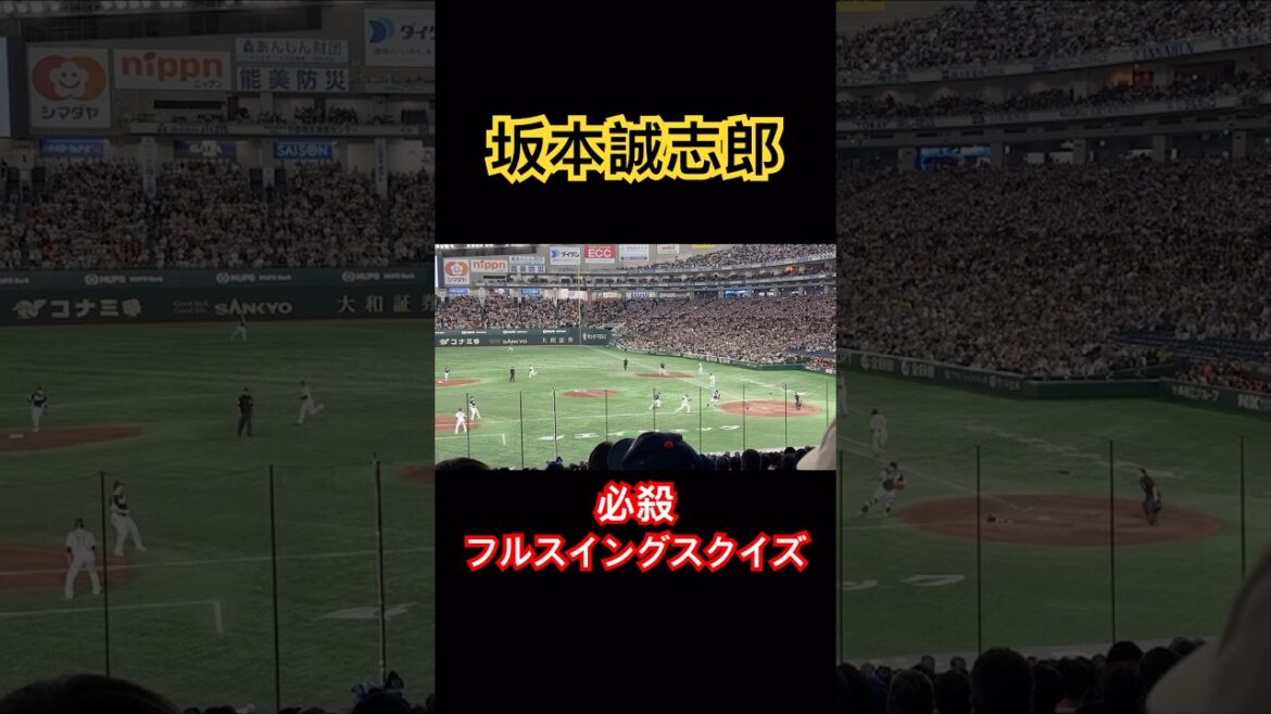 【侍ジャパン】坂本誠志郎、必殺フルスイングスクイズ #阪神 #坂本 #shorts