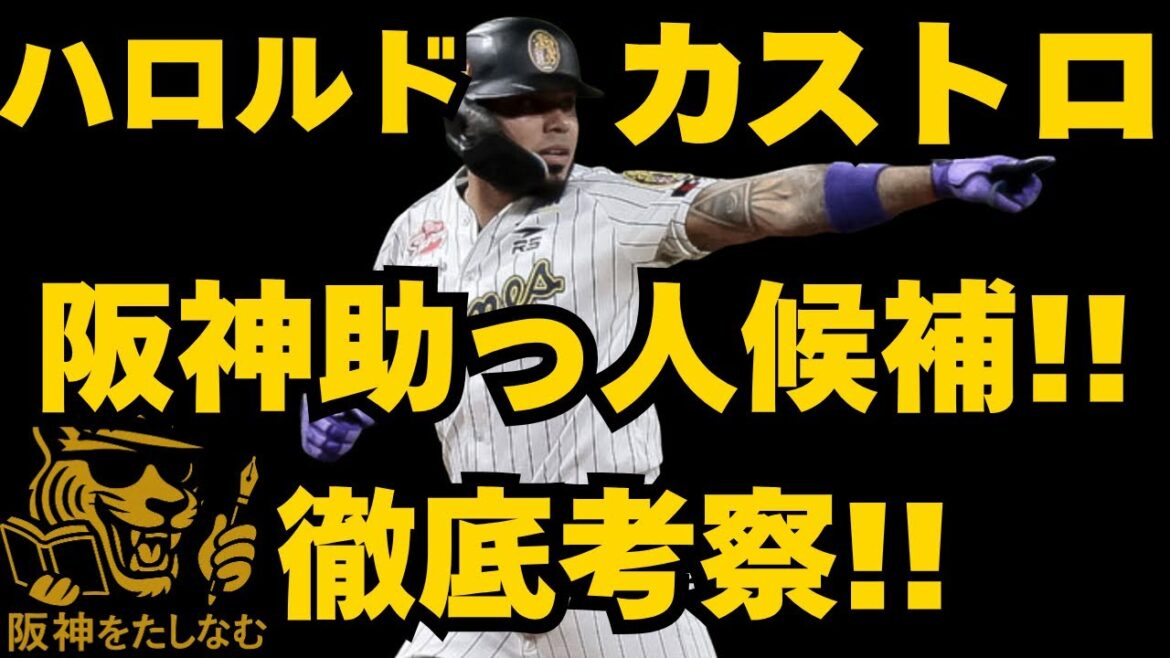 【阪神新外国人候補‼️】NPB複数球団が調査で阪神有力とも‼️#阪神タイガース #ハロルド・アーナルド・カストロ #阪神 助っ人外国人#阪神タイガース#新外国人候補 2025#阪神タイガースをたしなむ 【阪神新外国人候補‼️】NPB複数球団が調査で阪神有力とも‼️#阪神タイガース #ハロルド・アーナルド・カストロ #阪神 助っ人外国人#阪神タイガース#新外国人候補 2025#阪神タイガースをたしなむ