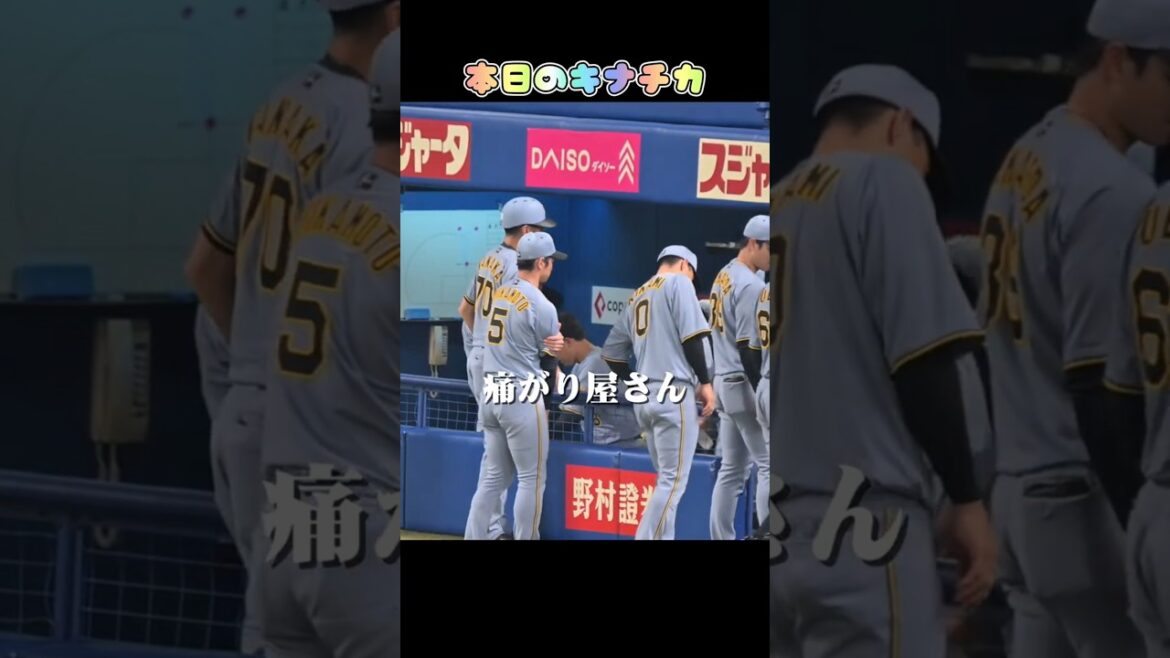 本日のキナチカ