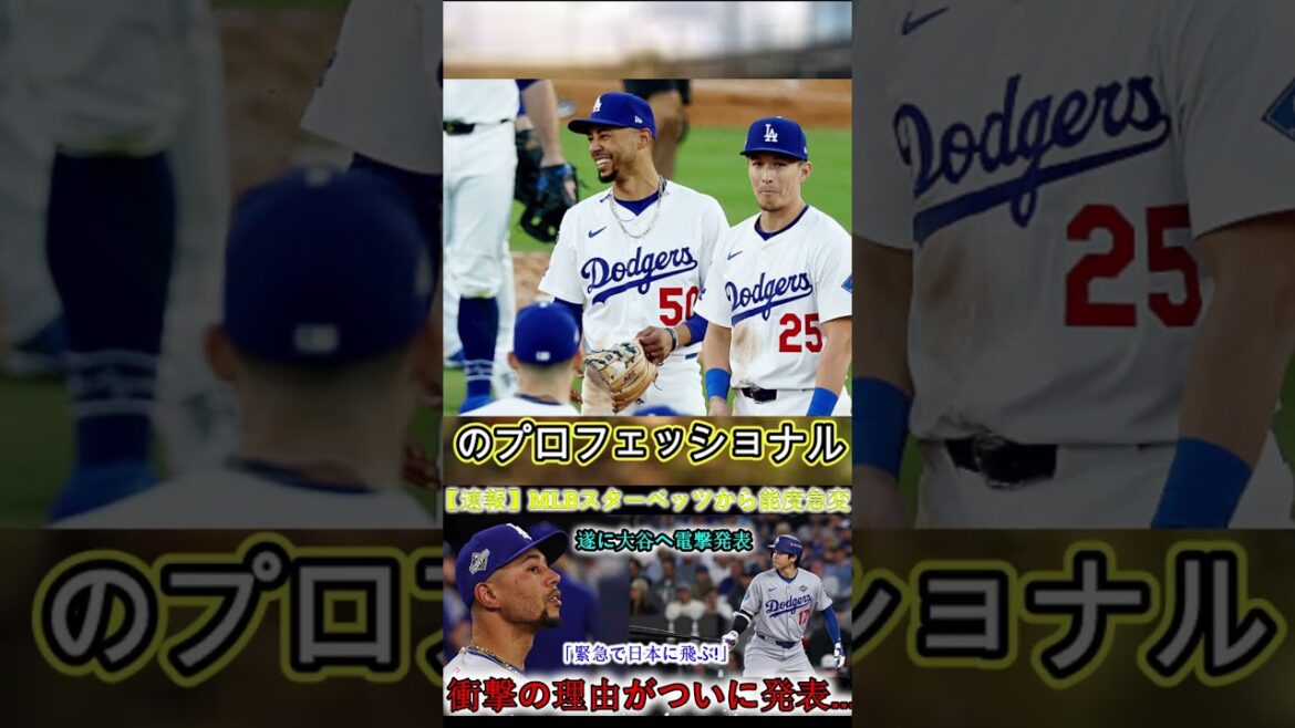 #wbc #baseballnews #baseballszn #mlblb #プロ野球 #中日ドラゴンズ #sportsnews #baseballmatch