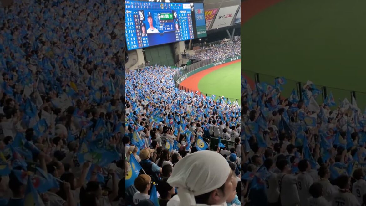 圧巻‼️Flag配布日の Flag to Victory  ＃埼玉西武ライオンズ ＃チャンステーマ