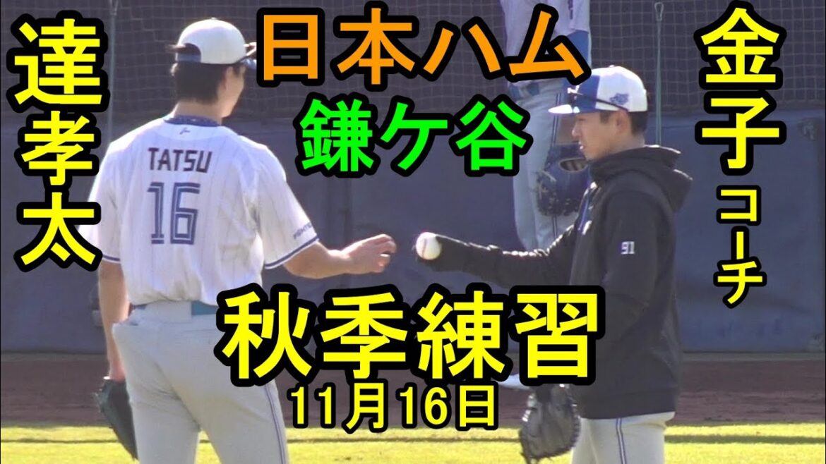 日本ハム鎌ケ谷秋季練習(若手主体)&自主練習、巨人移籍の北浦が首脳陣へ挨拶2025.11.16 日本ハム鎌ケ谷秋季練習(若手主体)&自主練習、巨人移籍の北浦が首脳陣へ挨拶2025.11.16