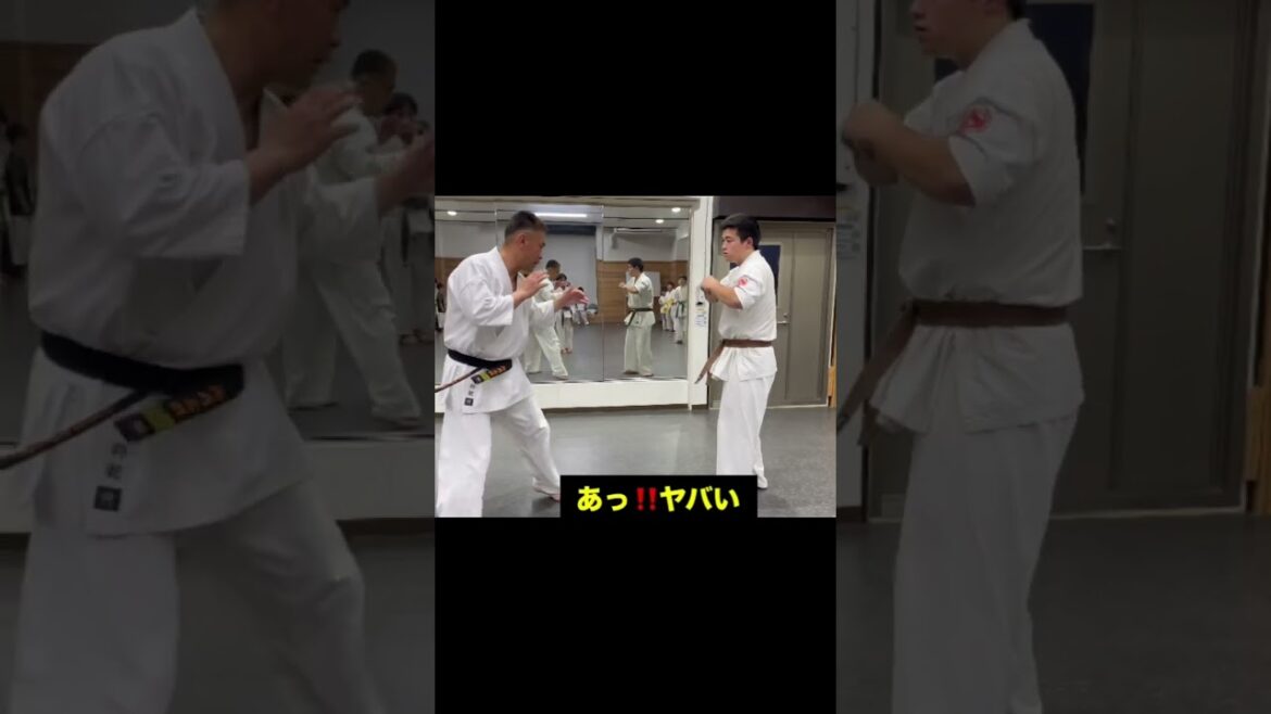 極真会‼️後ろ回し蹴り‼️#karate #空手 #kyokushin #極真空手