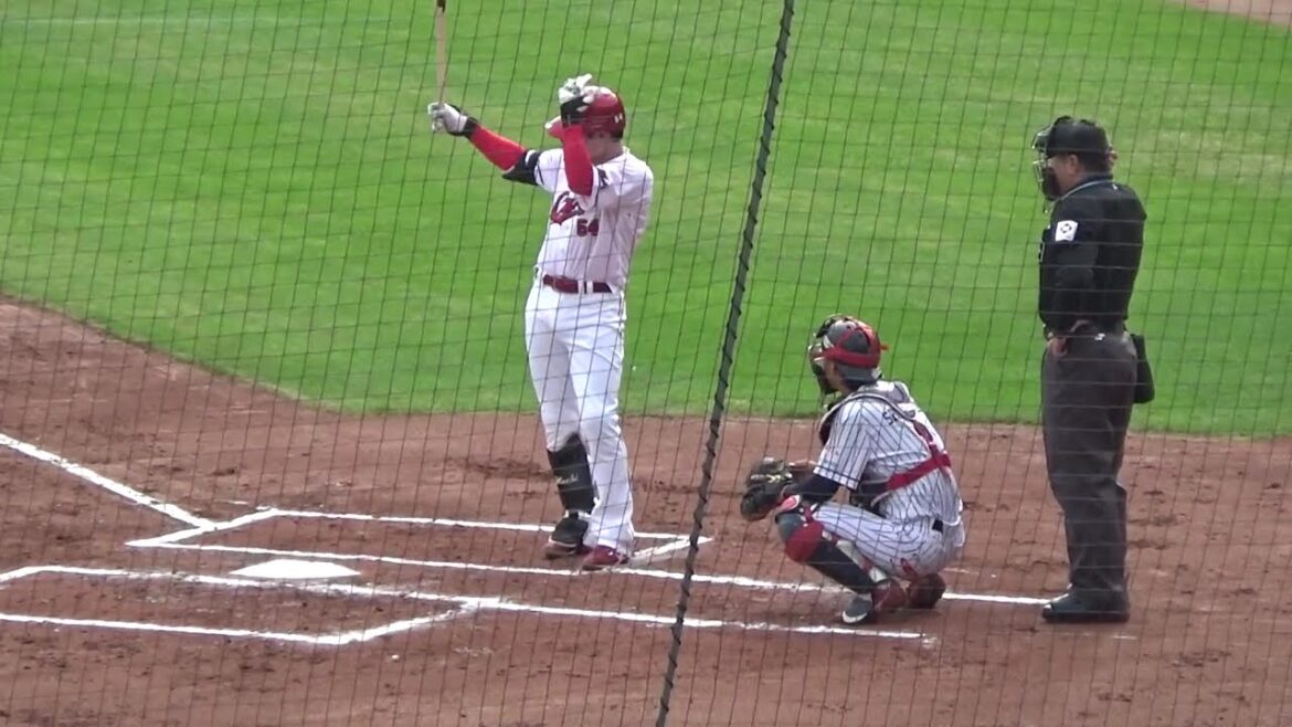 【トライアウト2025】韮澤雄也　第1打席