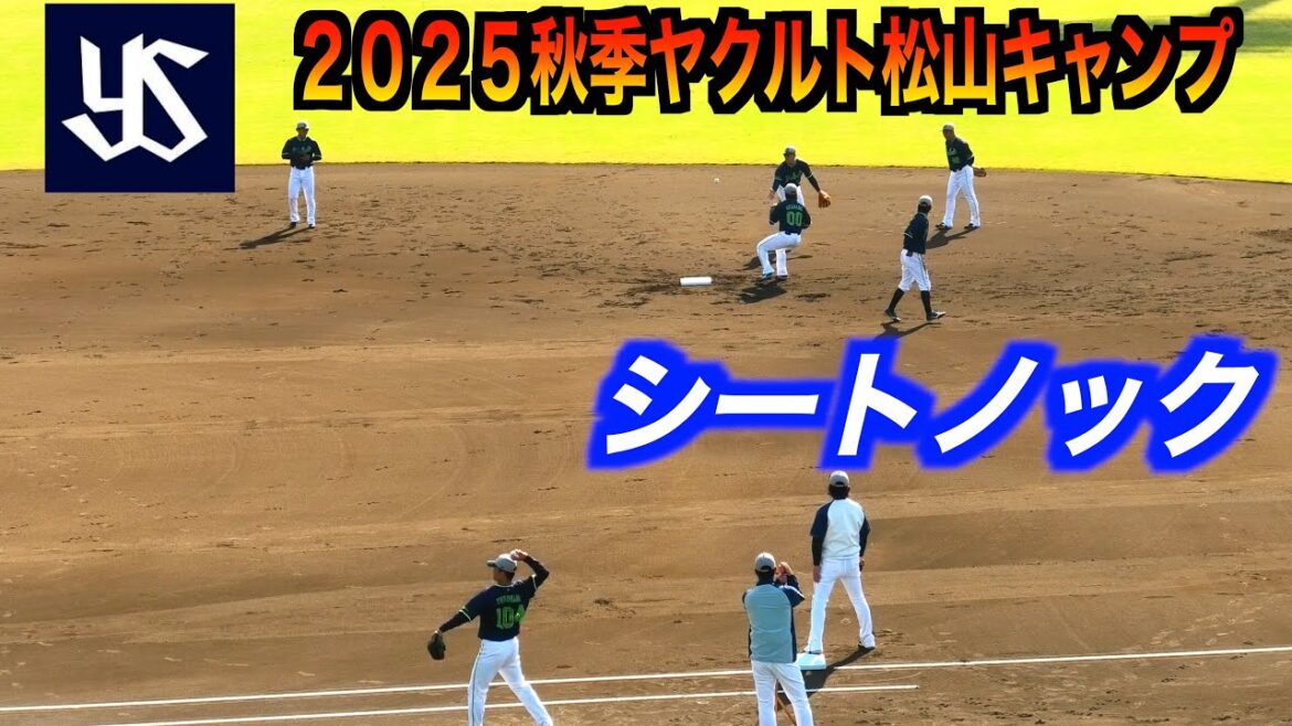 東京ヤクルトスワローズシートノック ！【２０２５秋季ヤクルト松山キャンプ】