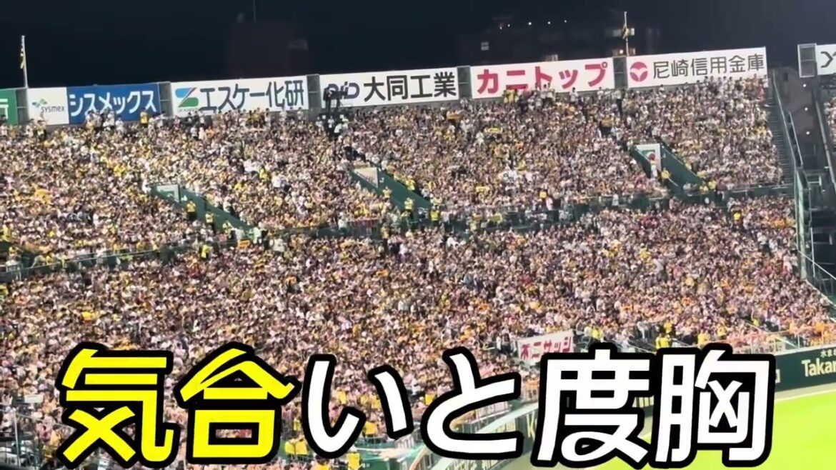 【阪神タイガース】小野寺暖 選手応援歌