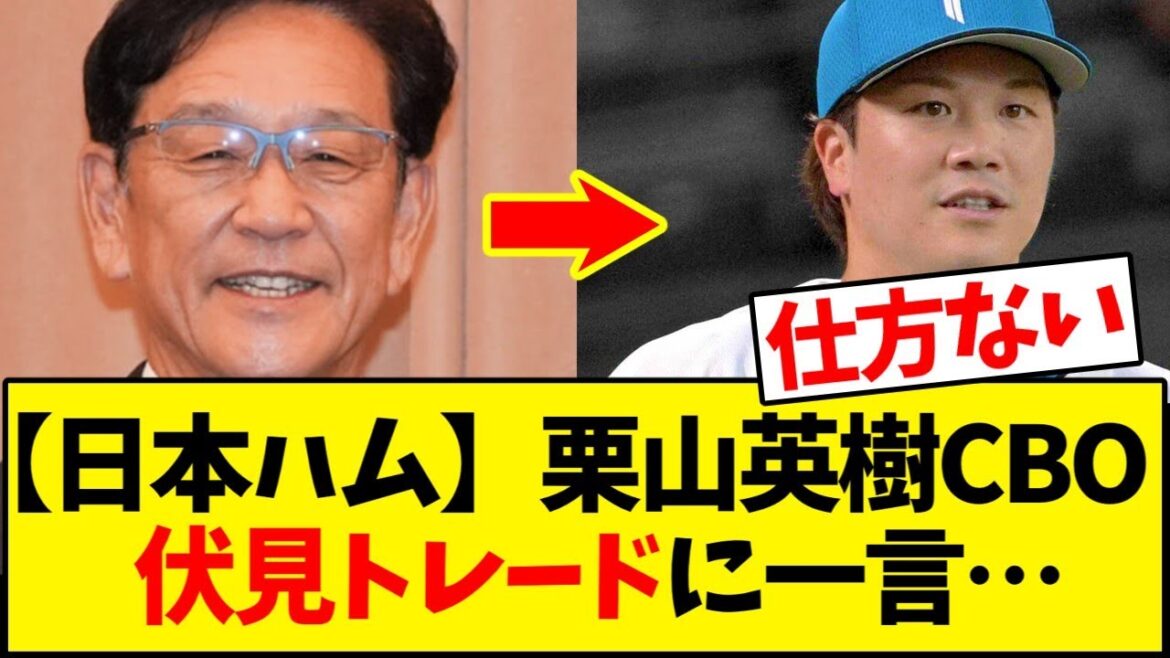 【日本ハムファイターズ】伏見寅威と阪神島本浩也トレード 栗山英樹CBO「選手、チームのためプラスになる」【野球反応集】 【日本ハムファイターズ】伏見寅威と阪神島本浩也トレード 栗山英樹CBO「選手、チームのためプラスになる」【野球反応集】